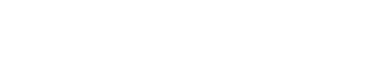 Captain Wave Logo